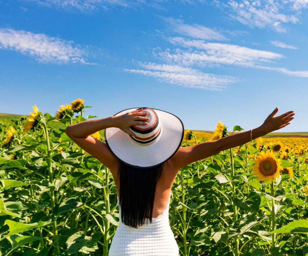 Wildflowers Counselling Carrum Downs - Holistic Counselling Carrum Downs